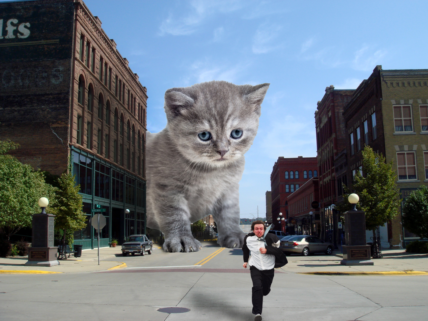 Sioux City Kitty